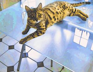 Bengal Tiger Cat On Table